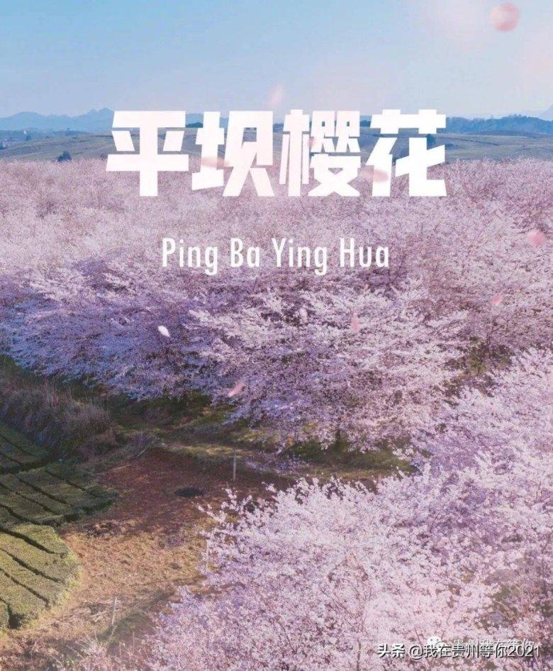 蛋糕里面有头发怎么解决游戏画面